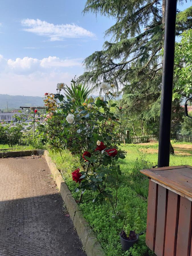 Albergue La Costana اوفيدو المظهر الخارجي الصورة